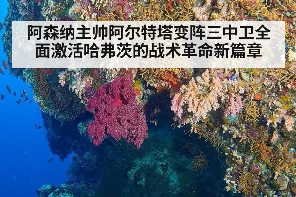 阿森纳主帅阿尔特塔变阵三中卫全面激活哈弗茨的战术革命新篇章